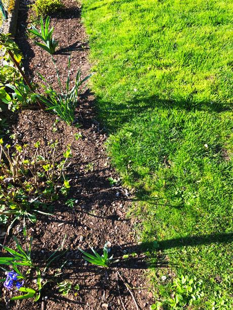 Im ersten Schritt zur perfekten Rasenkante wird der Verlauf der Rasenkante festgelegt.