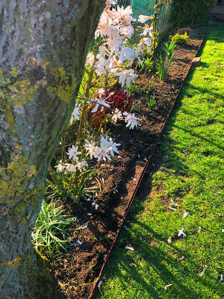 Im letzten Schritt werden die Wurzelschutzplatten befestigt. Und schon ist die perfekte Rasenkante fertig.
