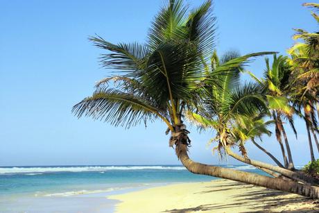 Wassertemperatur Kuba: Azurblaues Meer mit Sandstrand und Kokospalmen auf Kuba in der Karibik