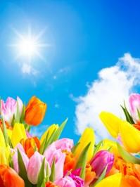Lebhafte Frühlingsdüfte verbinden mediterranen Charme mit Blütenzauber