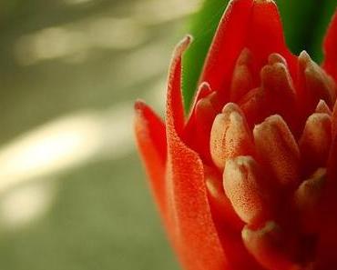 15 Wege um Ihre Seele zu streicheln