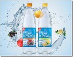 BONAQA Fruits im branznooz Blogger Club