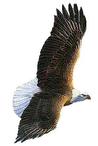 Du hast das Recht, du zu sein!