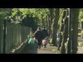 Four Lions