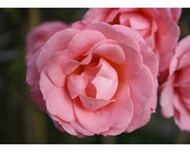 Reichtum ist auch nicht alles!