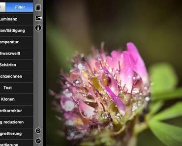 Bildbearbeitung am iPad: Filterstorm2 vs. Snapseed