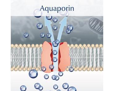 |Produkttest| Eucerin AQUAporin ACTIVE