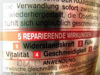 Reparatur & Fülle 5 - Die Wunder-Reparaturkur
