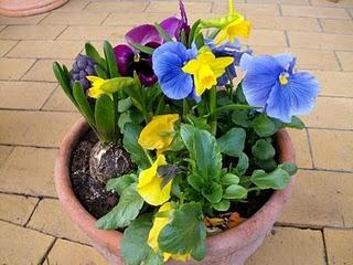 Frühling in Berlin... die erste Veranstaltung Domäne Dahlem Frühling in Berlin... die erste Veranstaltung Domäne Dahlem
