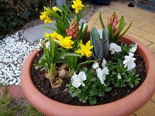 Frühling in Berlin... die erste Veranstaltung Domäne Dahlem Frühling in Berlin... die erste Veranstaltung Domäne Dahlem