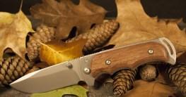 Kratztonne Test & Vergleich (04/2020): die 5 besten Kratztonnen