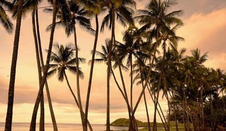 Hawaii – Gedicht vom 11.04.2020