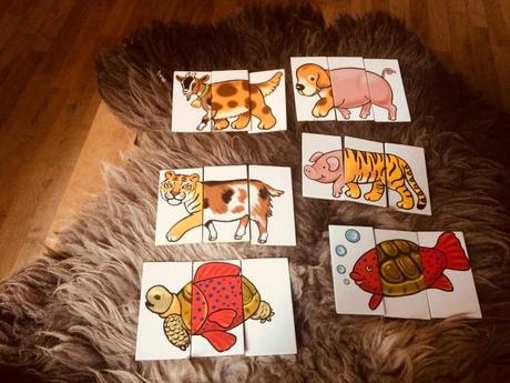 Gesellschaftsspiele für Kinder ab 4 Jahre: Lustige Tiere von Noris ausgebreitet auf einen Teppich. Zu sehen sind wild zusammengewürfelte Fantasietiere.