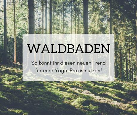 Waldbaden - So könnt ihr diesen Trend für eure Yoga-Praxis nutzen!