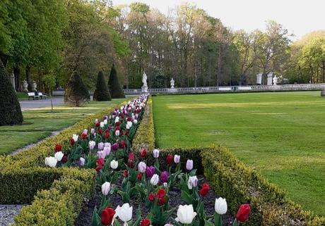 Foto: Tulpen am Schloss Nordkirchen