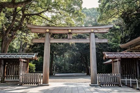Nach Japan reisen in 2020: Alles, was du wissen musst