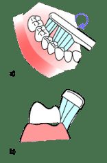 Zahnputztechnik für Kinder