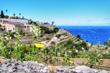 Zauberhaftes Mallorca: Ausflug nach Valldemossa, Banyalbufar & Port d’Andratx