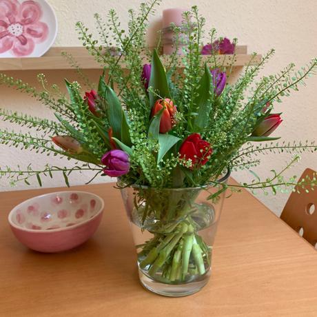 Friday-Flowerday – oder – Jetzt treibe ich es bunt: Tulpen