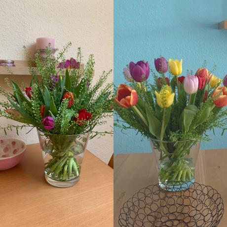 Friday-Flowerday – oder – Jetzt treibe ich es bunt: Tulpen