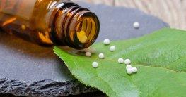 Ashwagandha: Test & Vergleich (04/2020) – MEDMENSCH