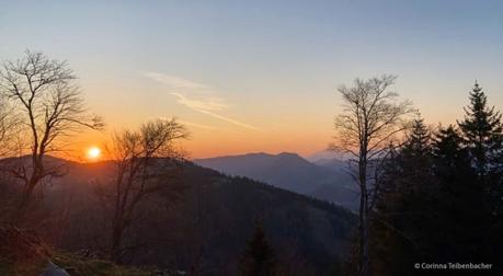 Bild der Woche: Hochstadelberg Sonnenaufgang