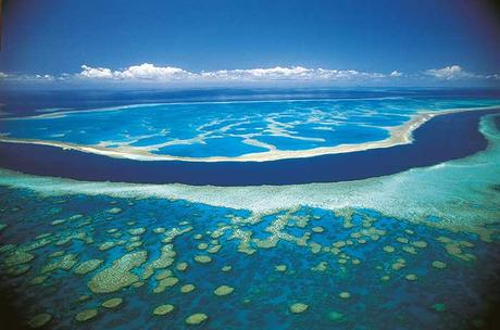 Korallenbleiche gut erklärt – ist das Great Barrier Reef noch zu retten?