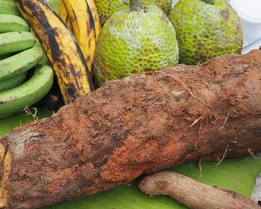 Yamswurzel in Madagaskar