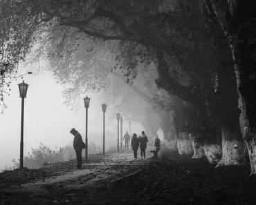 Wenn ein Virus zum Politikum wird