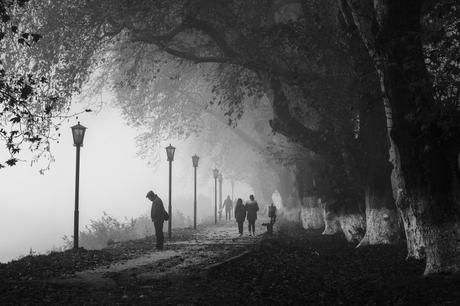 Wenn ein Virus zum Politikum wird