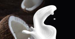 Kokosmilch: Test & Vergleich (05/2020) – MEDMENSCH