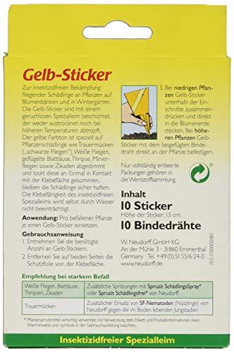 Blattläuse im Gewächshaus – Das können Sie tun