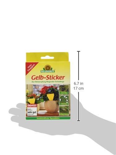 Blattläuse im Gewächshaus – Das können Sie tun