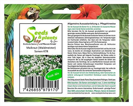 Stk - 60x Maikraut Waldmeister Samen Garten Blumen Pflanze Saatgut K78 - Seeds Plants Shop Samenbank Pfullingen Patrik Ipsa