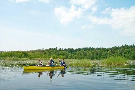 Mecklenburgische Seenplatte: 9 Tipps für Naturerlebnisse
