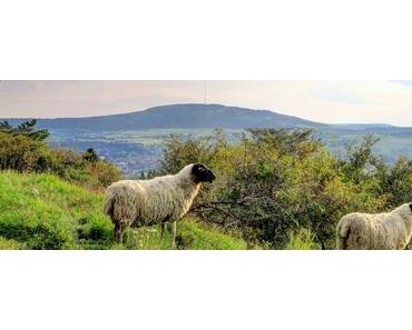 Rhön Urlaub: Tipps von einem Rhöner für Deutschlands Mitte