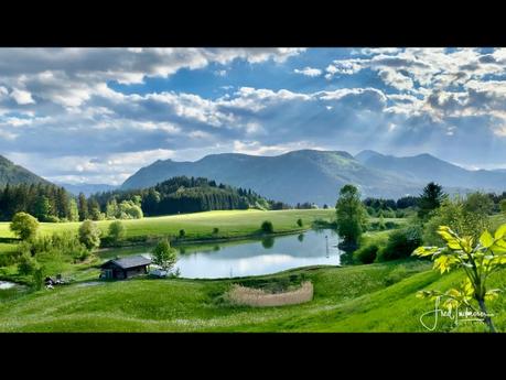 Hollererteich – Erlaufsee – Waldsee – Impressionen