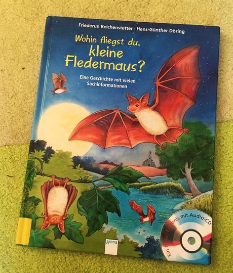 die besten Bücher für Kinder ab 4 Jahre Wohin fliegst du, kleine Fledermaus
