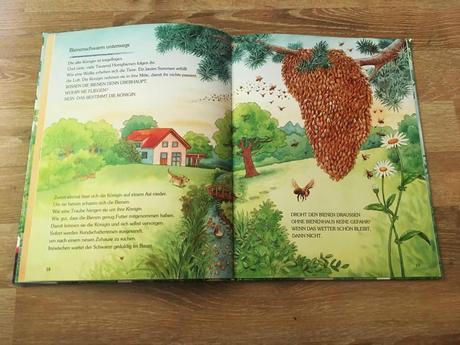 Einblick in das Buch Wie lebt die kleine Honigbiene