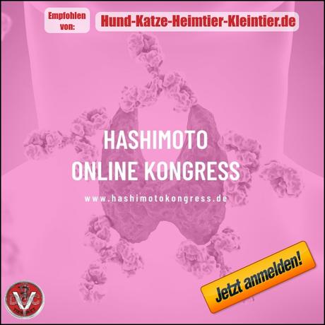 Hashimoto verstehen und erfolgreich behandeln