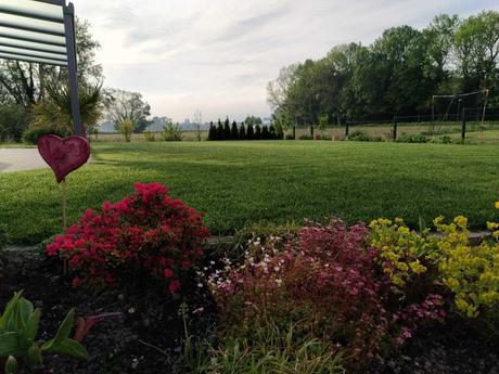 Automatische Gartenbewaesserung sorgt für Erleichterung im Alltag und führt zu wundeschönem Rasen!