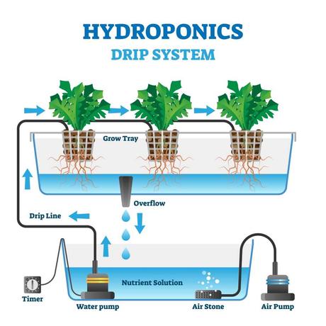 Eines der Hauptsysteme in der Hydroponik ist des Tropfensystem