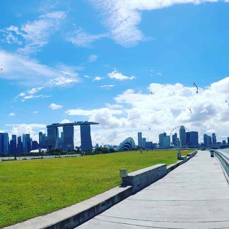 Grünes, grünes Singapur – Drachensteigen mal anders