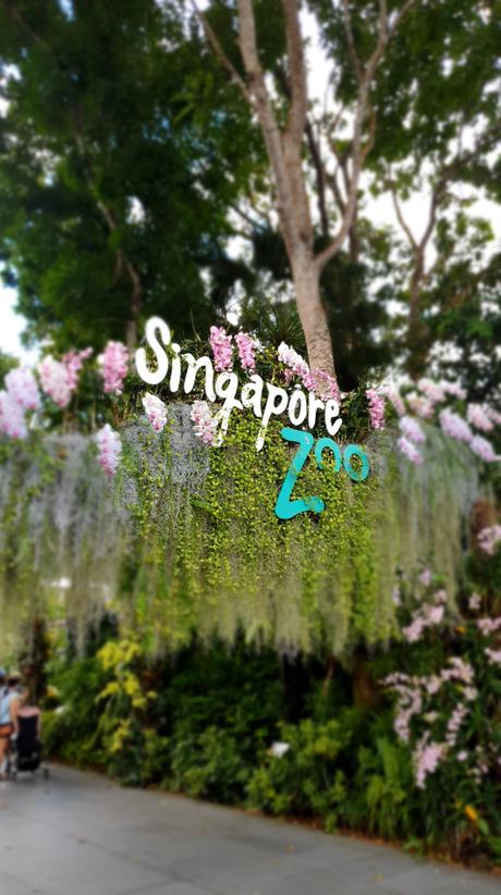 Wochenende in Bildern – Singapur – 17. – 19. Juli 2020 – Das neue Normal