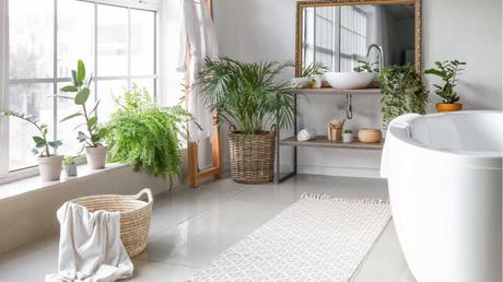 Mit einer sorgfältigen und individuellen Auswahl der Pflanzen für das Badezimmer können Sie den Raum dauerhaft verschönern und optisch aufwerten,