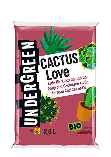 Undergreen Cactus Love