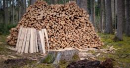 Brennholzsäge Test 2021 | Vergleich der besten Sägen