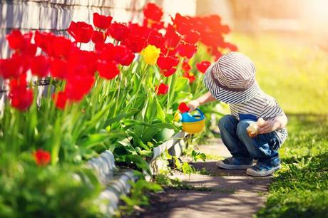 Kind gießt Tulpen mit Gartengerät für Kinder