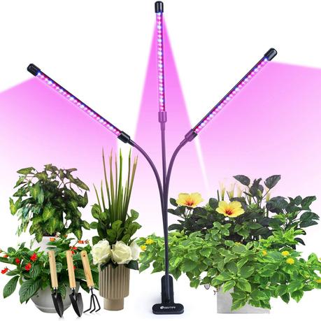 LED 30W Pflanzenlampe von Semai