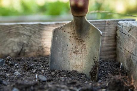 Das Mulchen kann auch bei der Vorbereitung des Bodens einige Zeit in Anspruch nehmen.